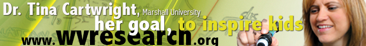 Metronews banner ad - Tina Cartwright